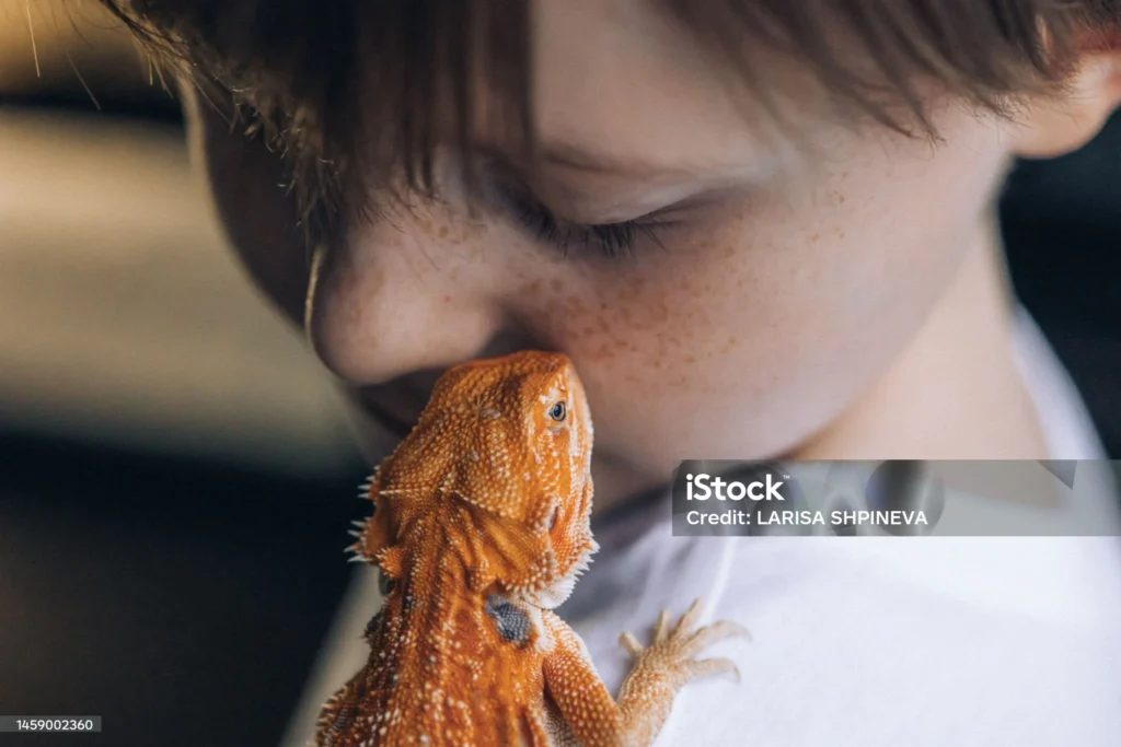 menino segurando uma iguana ilustrando assunto sobre répteis como animal de estimação