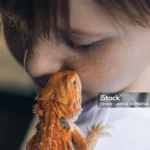 menino segurando uma iguana ilustrando assunto sobre répteis como animal de estimação