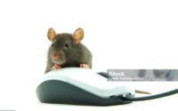 rato twsiter ao lado de mouse